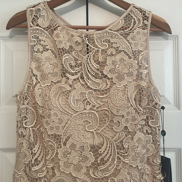SOLD. New ADRIANNA PAPELL Champagne Lace Dress size 10 - Picture 4 of 17